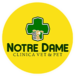 Notre Dame I Pet Shop 